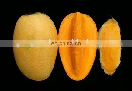 high speed fruit peeling machine