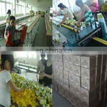 Yiwu Bobao Stationery Co., Ltd. company overview - view 3