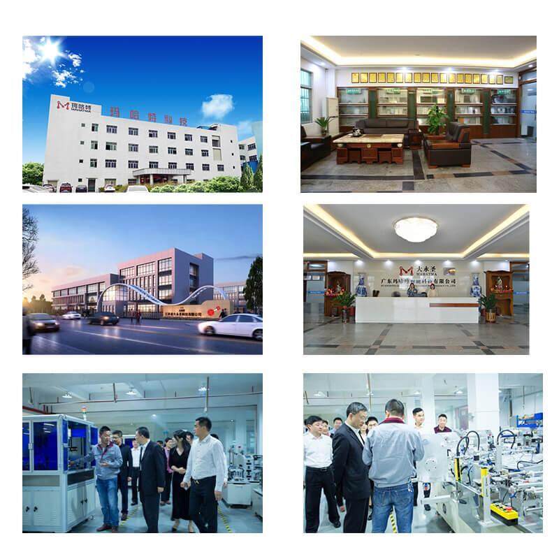 Guangdong Dayongsheng Technology Co., Ltd. company overview - view 1