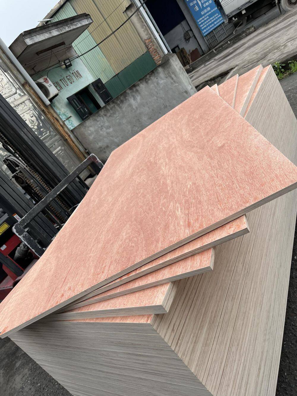 434850520_3855007101395919_6557599241901511866_n