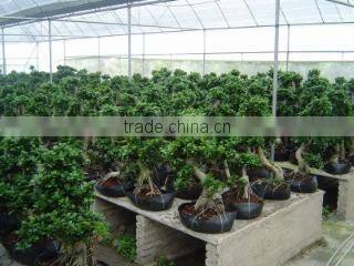 Zhangzhou Wisdom Industry & Trade Co., Ltd. company overview - view 3