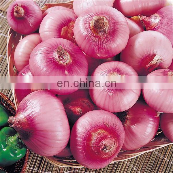 Onion skin removing machine