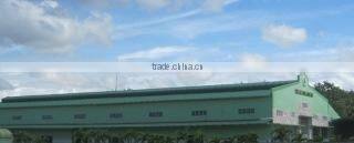 Duy Anh Foods Import Export Company Limited company overview - view 3