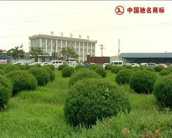 Hebei Jianzhi Casting Group Ltd. company overview - view 3