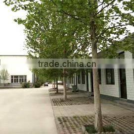 Zhengding Pantao Machinery Factory company overview - view 2