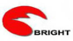 Jiangsu Bright New Light Source Co.,Ltd