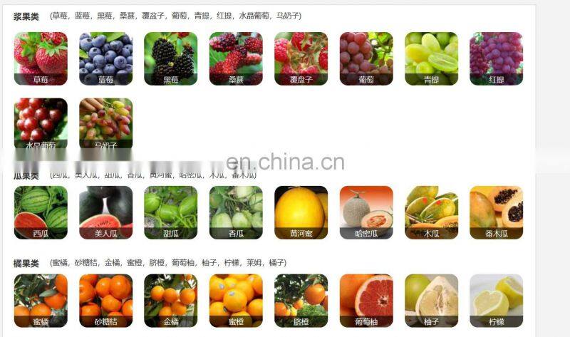 Fruit vibrating screening machine grading equipment