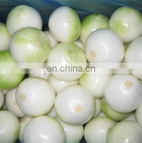 Automatic Onion peeling and root cutting machine