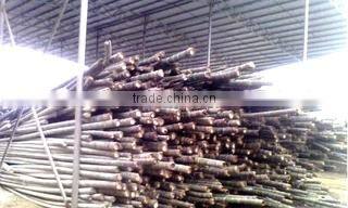 Guangzhou Di Xiang Trading Co., Ltd. company overview - view 2