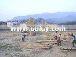 Xiamen Oulay Imp.& Exp. Co., Ltd. company overview - view 1