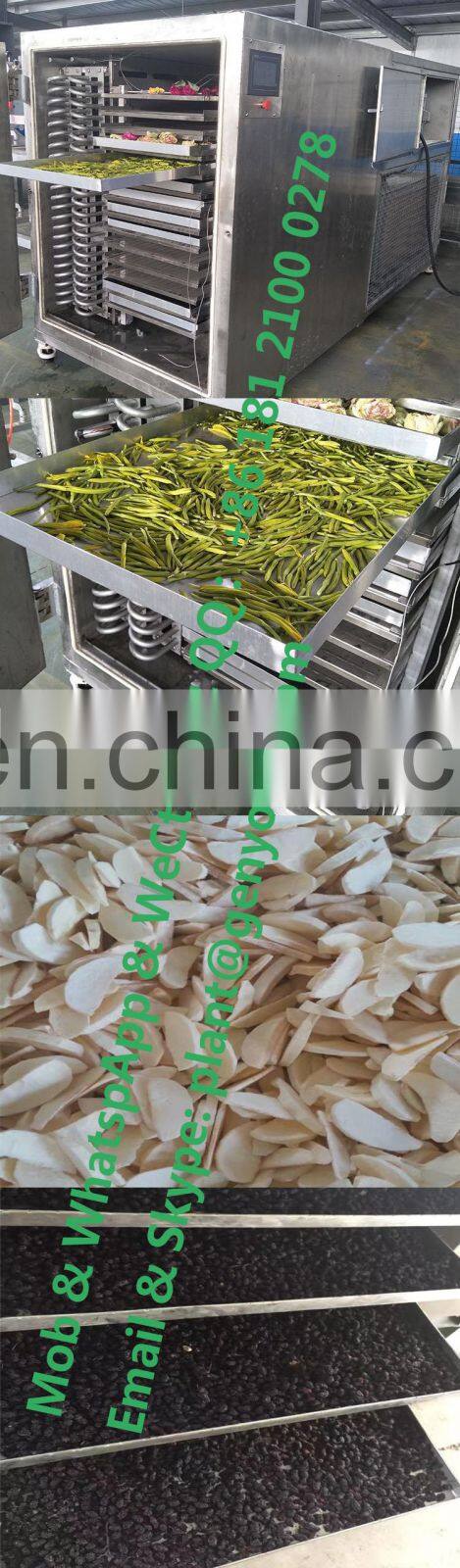 vacuum freeze dried food dragon fruit honey powder instant coffee durian strawberry raspberry flowers roses vegetable machine