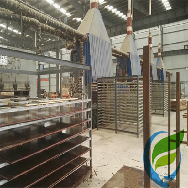 Global Plywood Biz (Linyi) Co.,Ltd. company overview - view 4