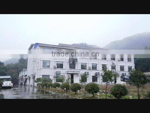 Ningbo Layer Lighting Electrical Appliance Co., Ltd. company overview - view 1