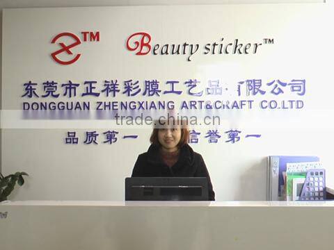 Dongguan Zhengxiang Color Film Arts And Crafts Co., Ltd. company overview - view 1