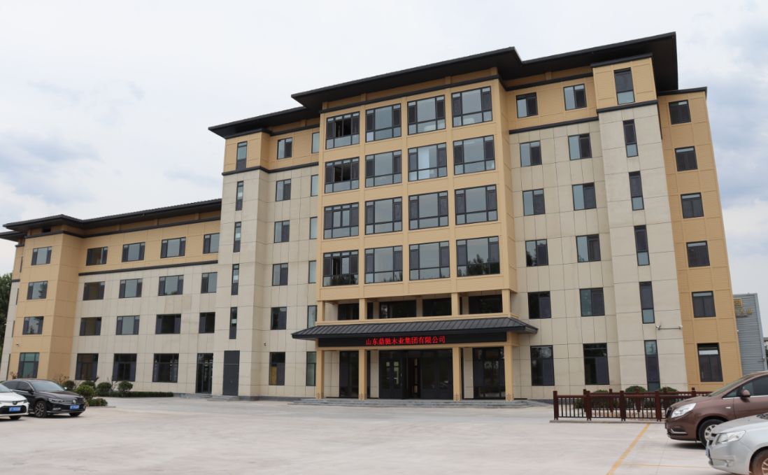 Shandong Dingchi Wood Group Co., Ltd company overview - view 1