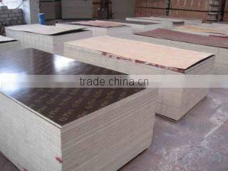 Shouguang Shuanglin Wood Co., Ltd. company overview - view 2