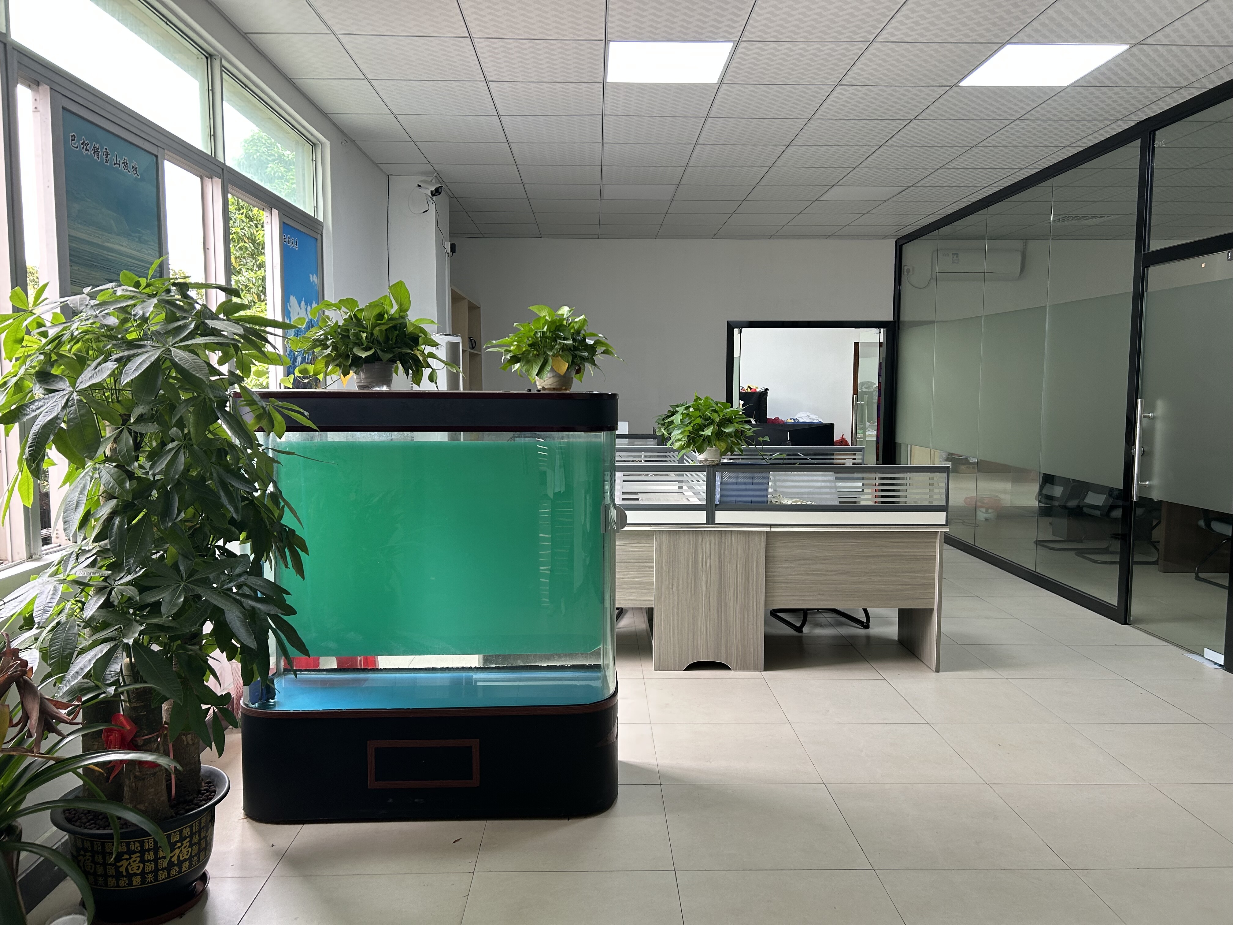 Dongguan Zixu Toy., LTD company overview - view 2