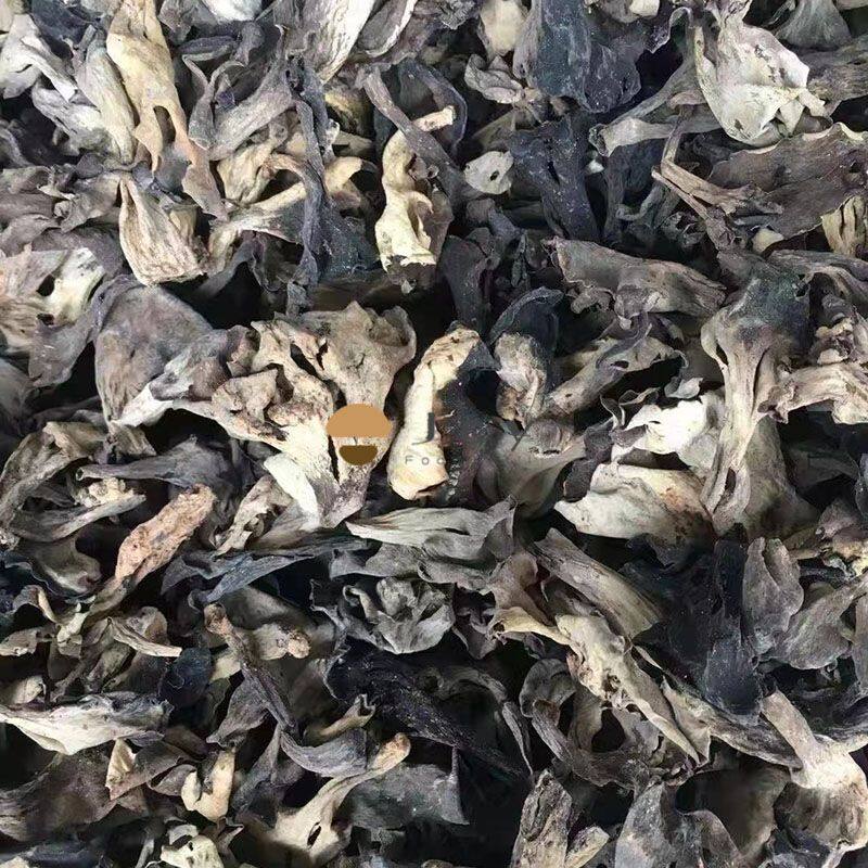 Dried black trumpet mushroom
