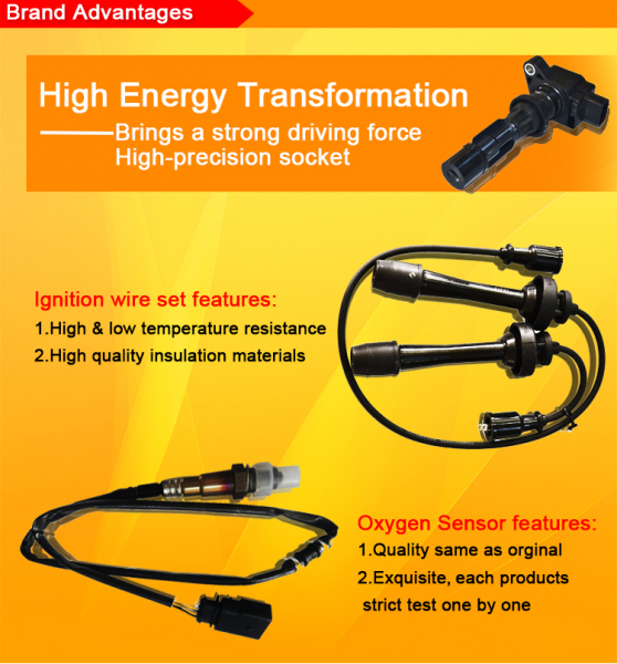 Guangzhou PAPP Auto Parts Co.,Ltd company overview - view 2