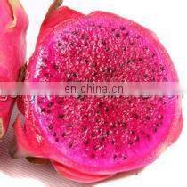 full automatic dragon fruit jam making machine