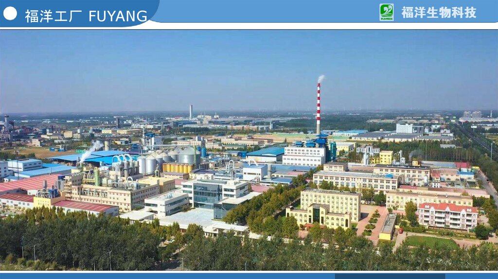 Shandong Fuyang Bio-tech.Co.,Ltd. company overview - view 4