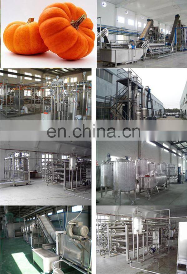 Industrial fast microwave pumpkin powder sterilizer machine