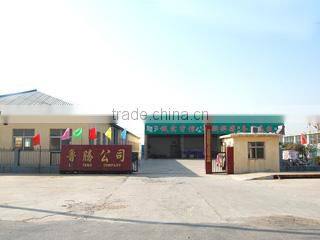 Jinxiang Luteng Trading Co., Ltd. company overview - view 1