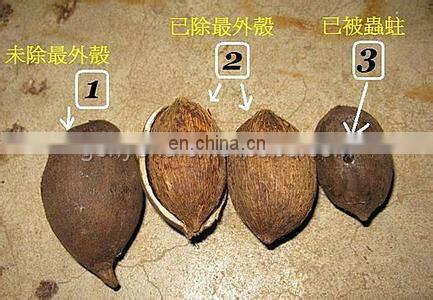 coconut cutting machine / coconut cutter