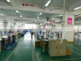 Shenzhen Hongwang Nicemay Electric Co., Ltd. company overview - view 2