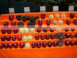 Tianshui Kairui Trade Co., Ltd. company overview - view 3