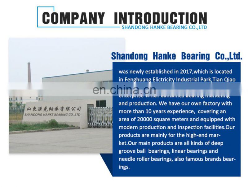 China Bearing Factory needle roller bearing HK1012RS bearing 10*14*12mm