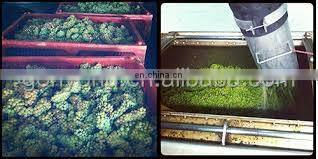 Grape destemmer and crusher