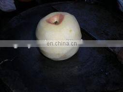 Automatic apple pear peeler corer slicer/stainless pear peeler/peeling machine in Fruit & Vegetable Processing Machines