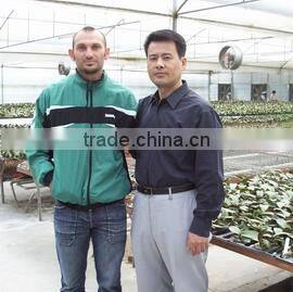 Zhangzhou Xiangcheng Greenhome Horticulture Co., Ltd. company overview - view 3