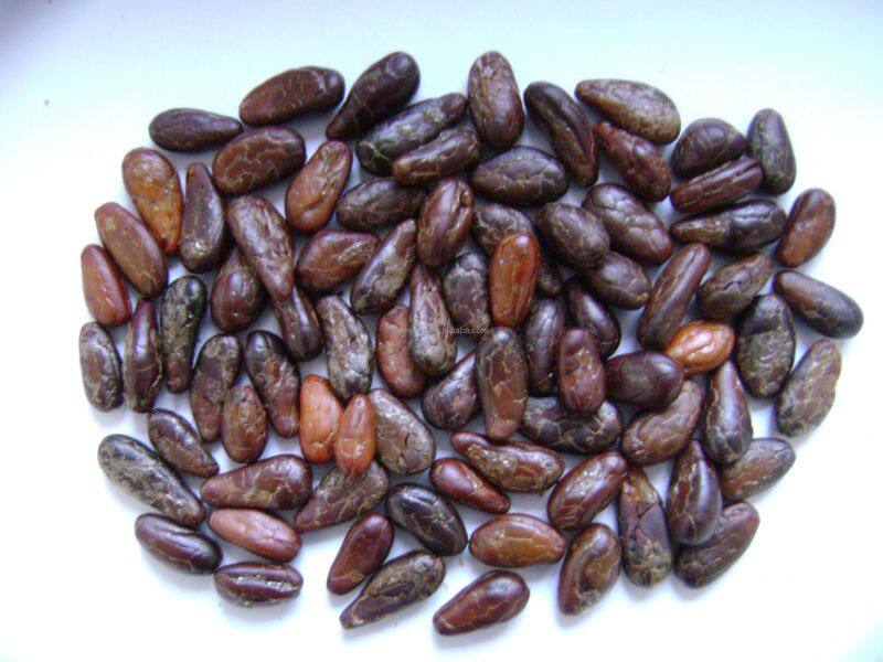Complete Cocoa Bean Processing/cocoa Butter Processing Line