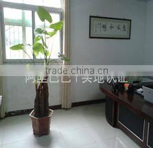 Jinan Angel CNC Equipment Co., Ltd. company overview - view 1