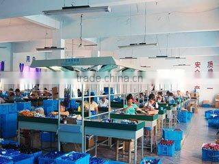 Ningbo Yinzhou Maker International Trading Co., Ltd. company overview - view 1