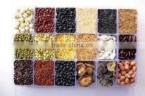 Duc Phuong Agricultural Processing Company Limited company overview - view 2