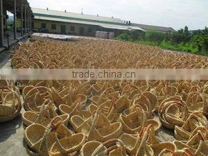 Viet Nam Craft Joint Stock Company company overview - view 1