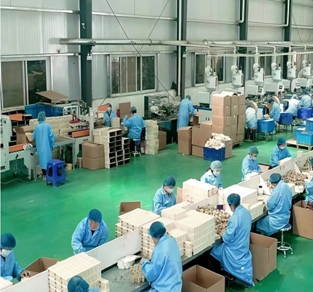 Shandong Yumeiren Wormwood Products Co., Ltd company overview - view 3