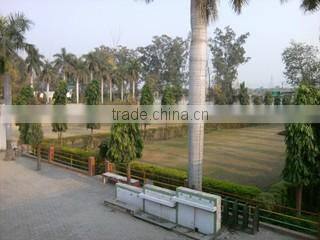 Royal De Wajidsons company overview - view 1