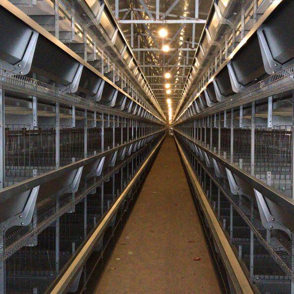 Henan Poul Tech Machinery Co., Ltd. company overview - view 4