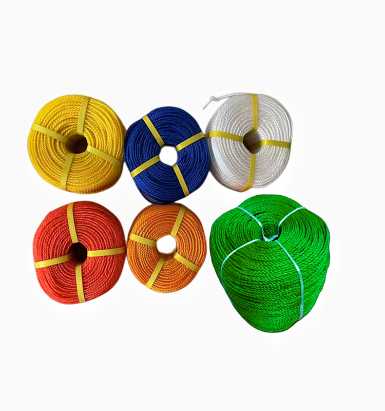 Taian Longqi Plastic Co.,lt.d company overview - view 3