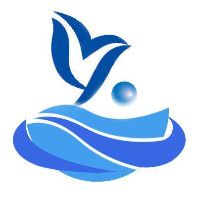 BOWShine Technology Trade Co., Limited company overview - view 1