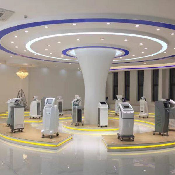 Fiona Laser Technology Development Co., Ltd. company overview - view 1