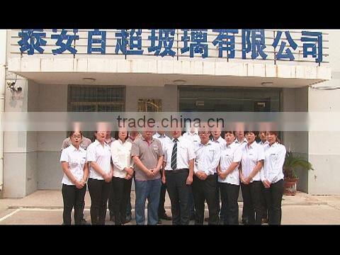 Taian Special Glass Co., Ltd. company overview - view 1