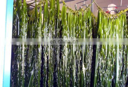 seaweed washing machine/Industrial washing drying machine/seaweed nitrate packaging machine