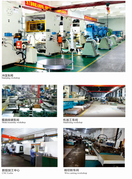 Foshan Nanhai Lesheng Metal Machinery Co.,LTD company overview - view 1