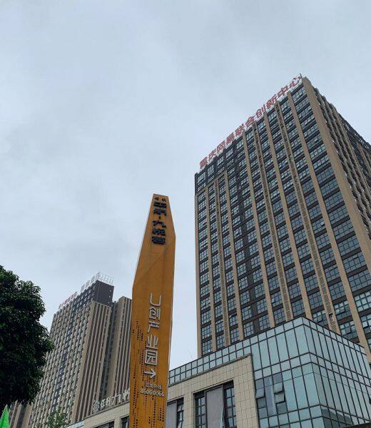 Chongqing Newsin Technology Co., Ltd company overview - view 2