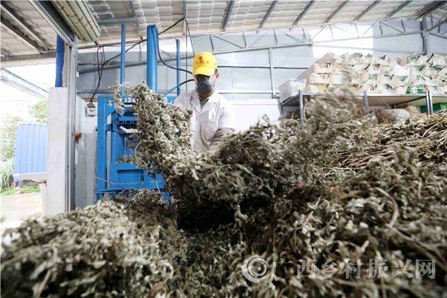 Shandong Yumeiren Wormwood Products Co., Ltd company overview - view 2